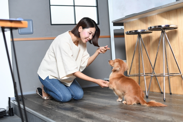 犬のおやつはいつから？与える際の注意点やコツも紹介