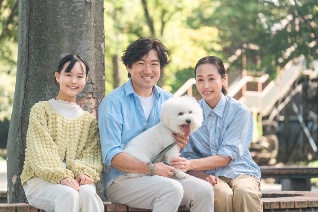 犬を飼うのに向いている人とは？向いていない人の特徴も解説