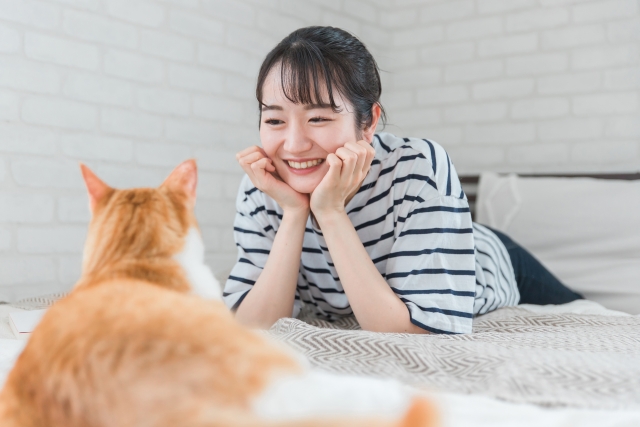 一人暮らしで猫を飼える？メリットや失敗談、後悔しないための注意点を解説