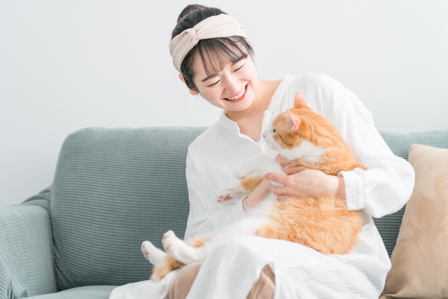 猫を飼うメリットとは？犬より猫がおすすめな人やデメリットも紹介