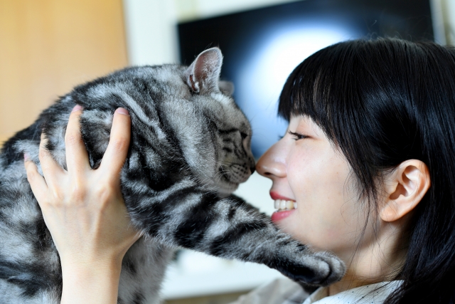 猫を飼うのに向いている人・向いていない人の特徴を解説！愛猫に好かれるためには？