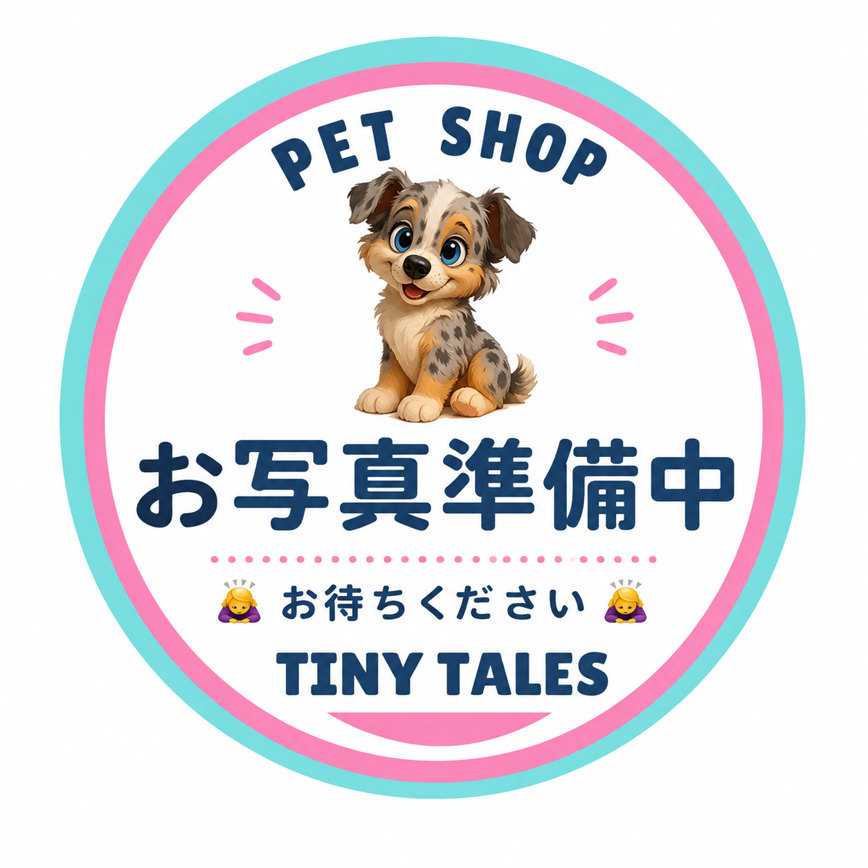 埼玉県のチワックス(チワワ×ダックス) (PET SHOP Tiny tales/2026年6月2日生まれ/男の子/シルバーダップル)の子犬
