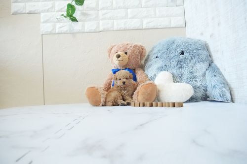 滋賀県のトイプードル(タイニー) (いっぷく湖南店/2026年4月28日生まれ/男の子/オレンジフォーン)の子犬の4枚目の画像