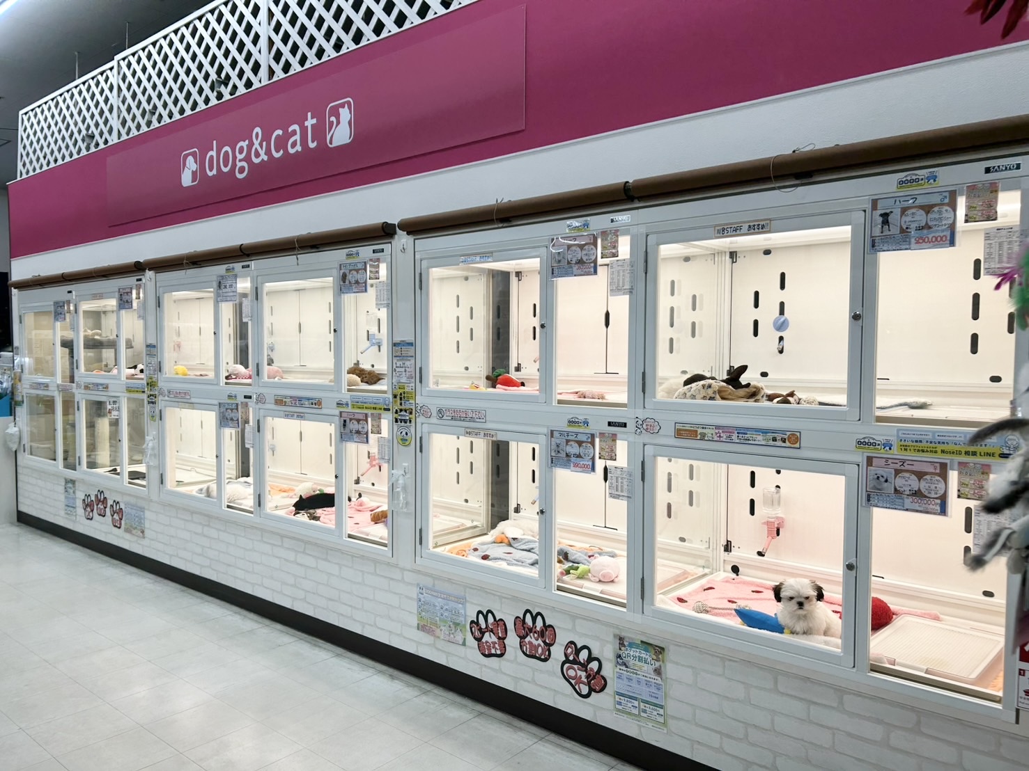 DOGMAN和歌山店の店舗写真