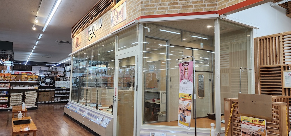 ビバペッツ ドッグズホーム大木店の店舗写真