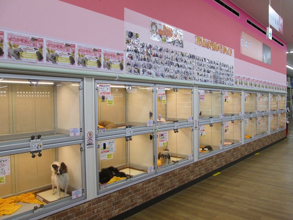 ペッツコンシェル鶴見元宮店の店舗写真