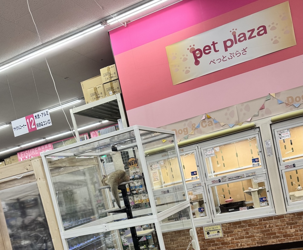 ペットプラザ大東御領店の店舗写真