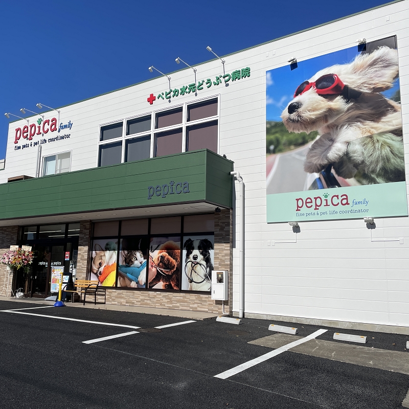 ペピカファミリー水元店の店舗写真