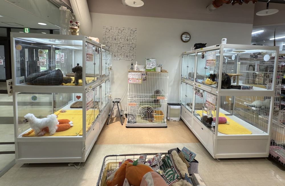 ペットフェイス大谷地店の店舗写真
