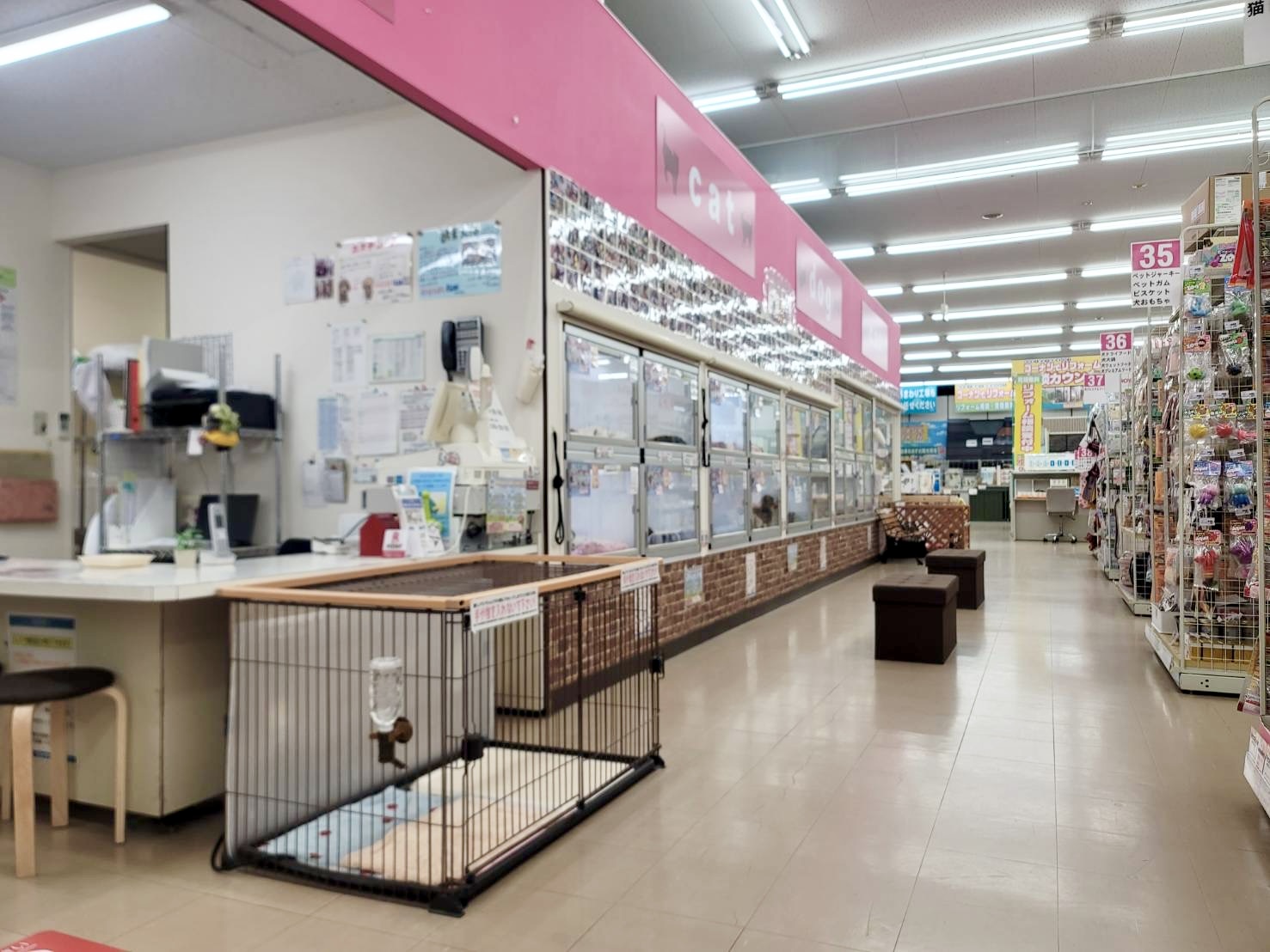 DOGMAN和歌山中之島店の店舗写真