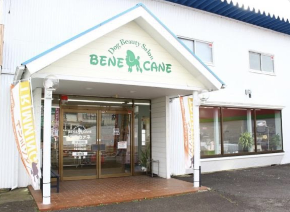 BENECANE 山際店の店舗写真