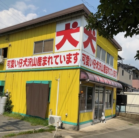 子いぬの足あとの店舗写真