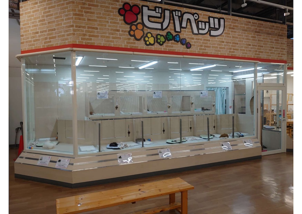 ドッグズホーム佐賀店の店舗写真