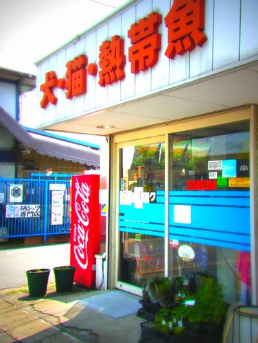 の店舗写真