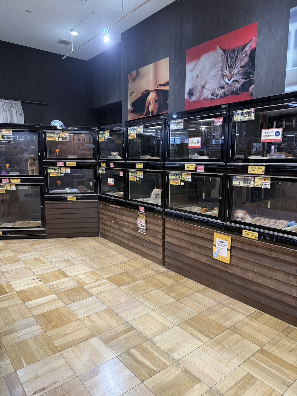 の店舗写真