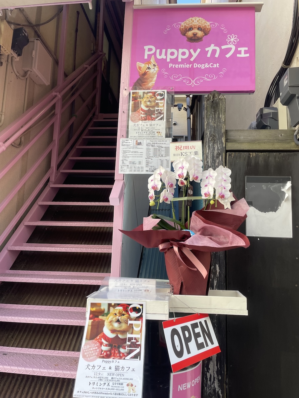 Puppyカフェの店舗写真