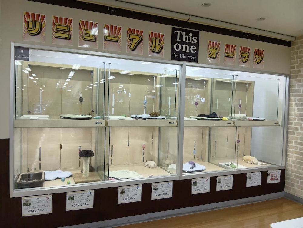 ディスワン ドッグズホーム大野城店の店舗写真