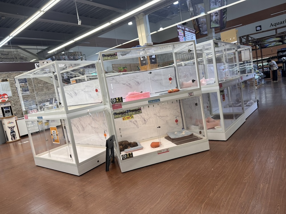 ペトリス スーパーセンタームサシ上越店の店舗写真