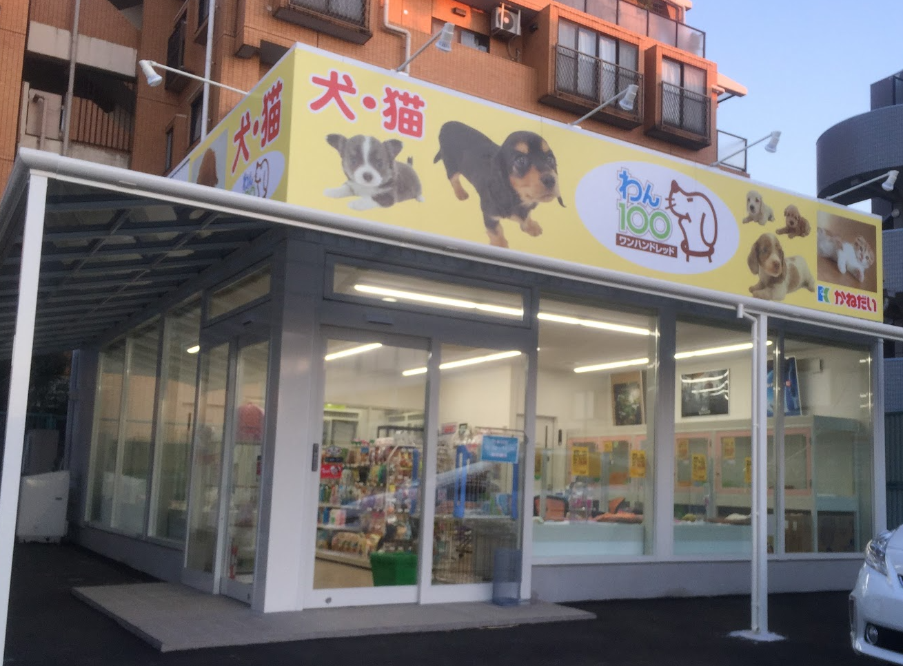 アクア & ペット かねだい 桶川 販売 店