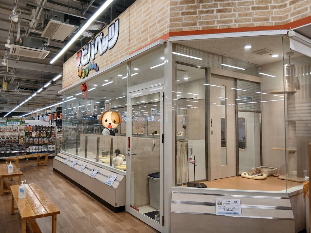 ビバペッツ ドッグズホーム志摩店の店舗写真