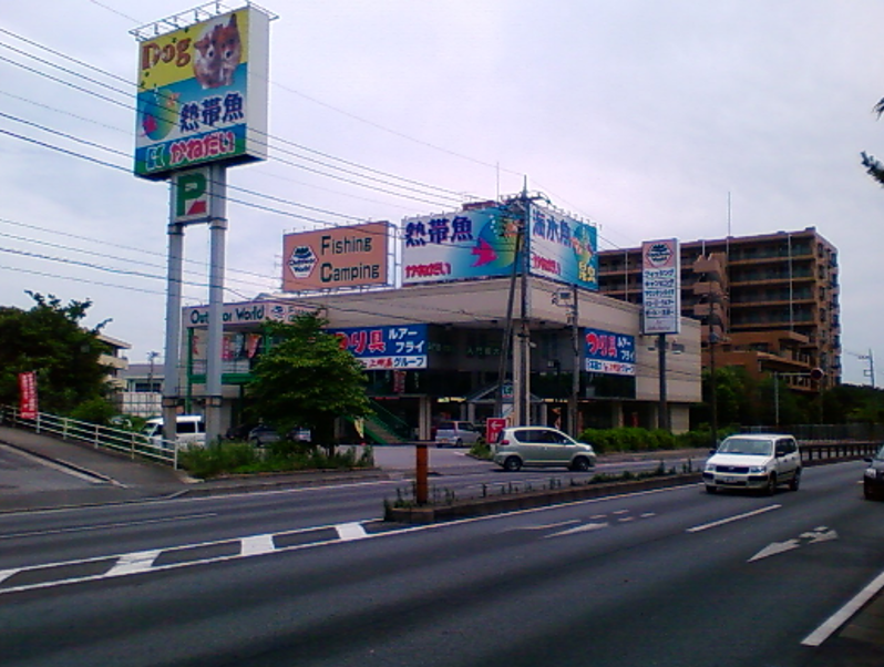 アクア & ペット かねだい 八千代 店 千葉 県 八千代 コレクション 市