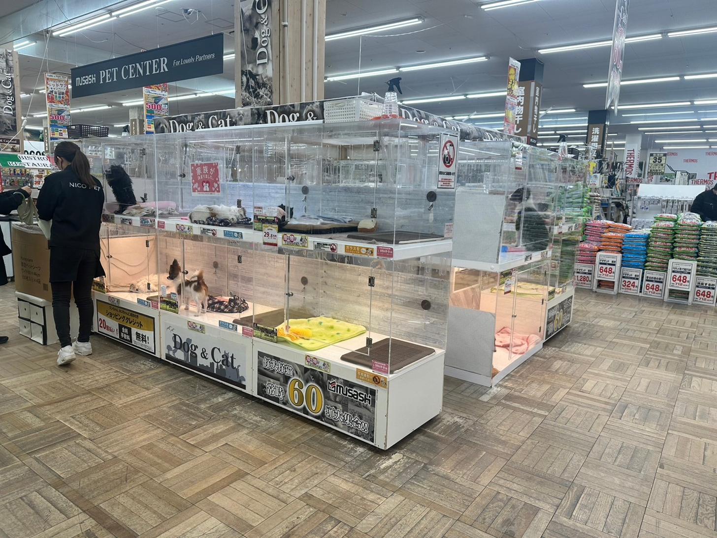 ペトリス スーパーセンタームサシ新潟店の店舗写真