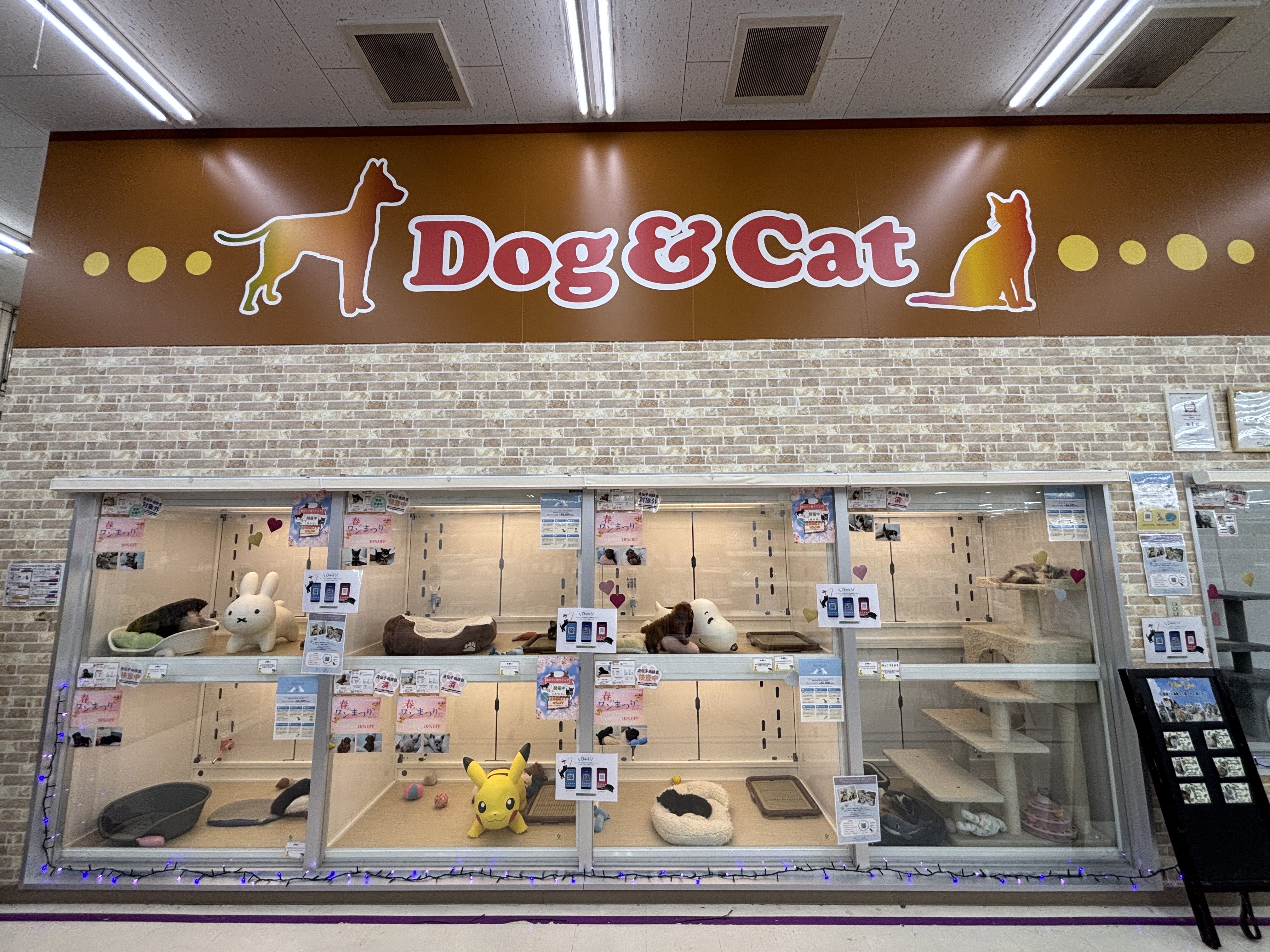 Doggy Style 小田原店の店舗写真