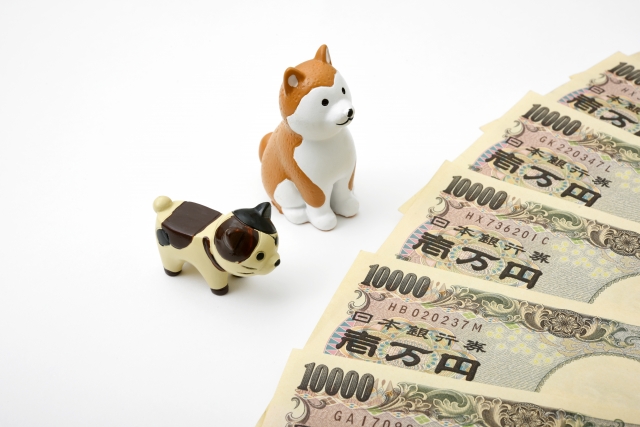 犬を飼うのにかかる費用は?初期費用や月々、年間、生涯の出費を解説