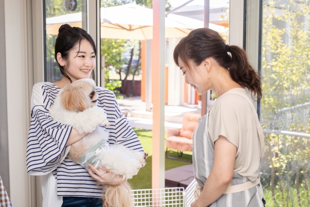 犬はどこで買うべき?主な購入先や注意点を紹介