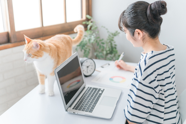 猫を飼うのに必要なもの12選!費用や部屋の準備についても解説