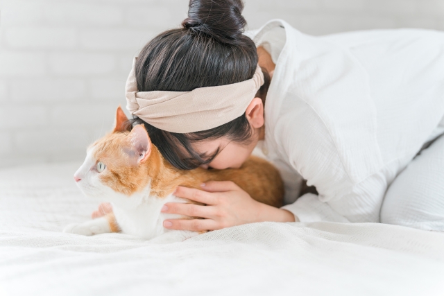 猫を飼うんじゃなかった?よくある6つの後悔と対策